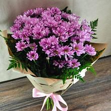 Букет цветов из:  Хризантемы #REPLACE_PRED# Пешково