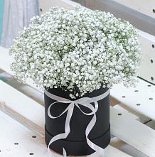 Цветочная композиция из Гипсофила в шляпной коробке #REPLACE_PRED# Пешково